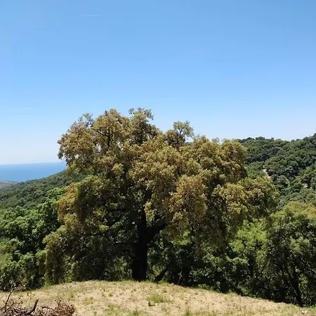 Kia Ora Retreat *